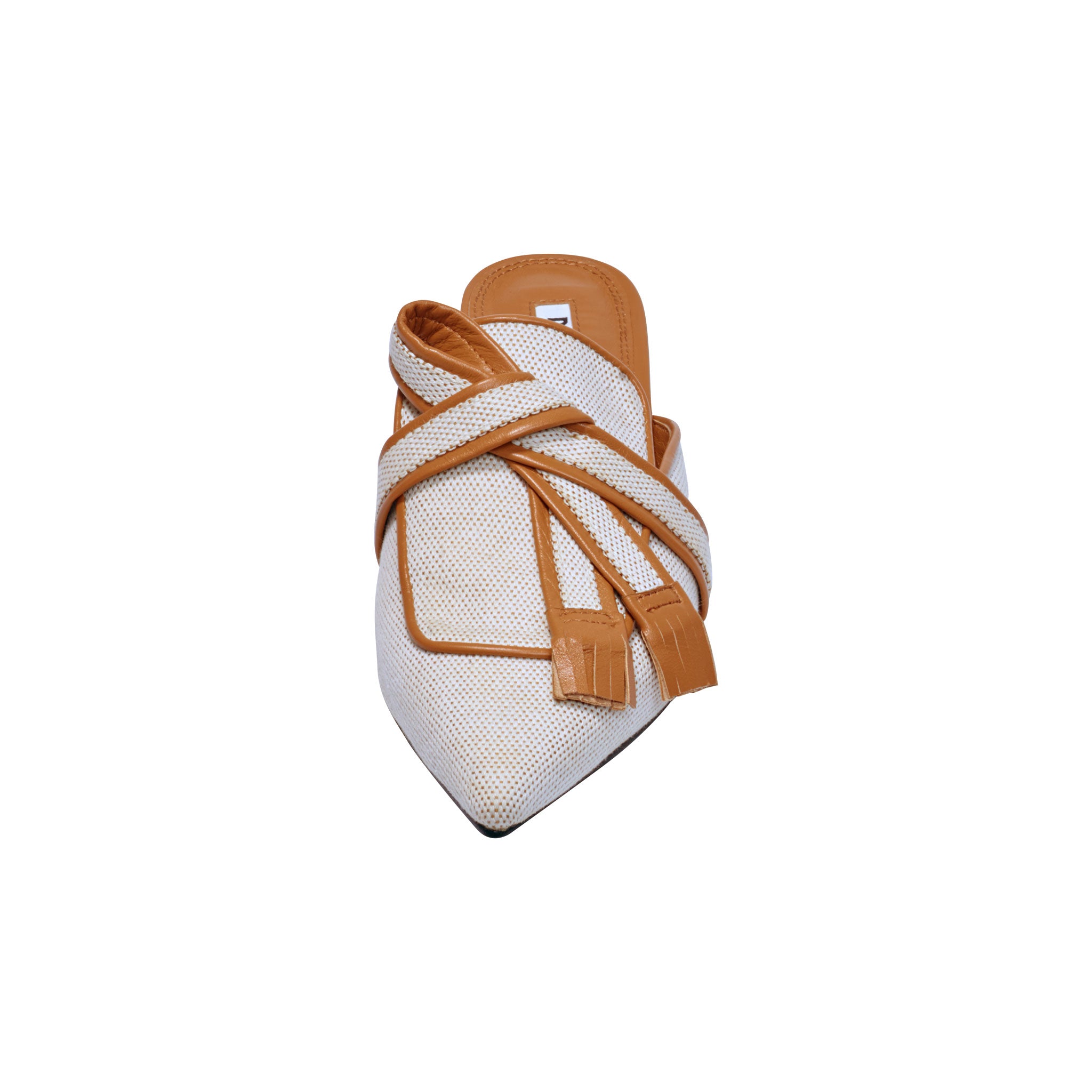 CANVAS PONYTA 