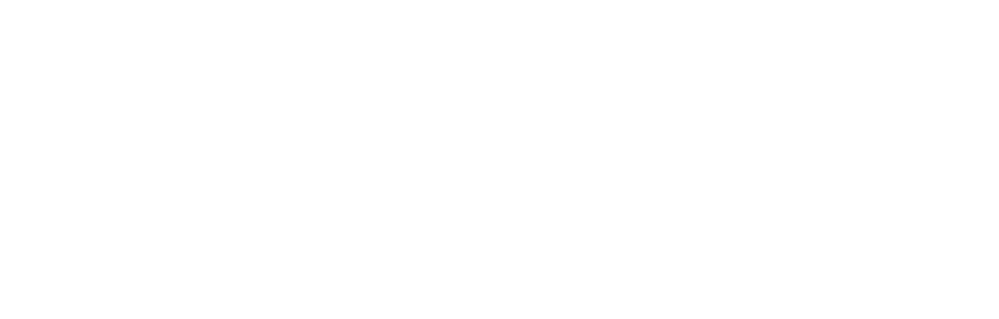 DARLIN 2012 โลโก้สีขาว - แบรนด์รองเท้าและกระเป๋าดีไซเนอร์ไทย